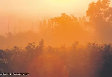 Beaucoup d’incertitudes et de questions entourent encore les problématiques concernant le réchauffement climatique.