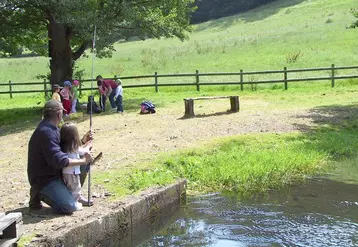 Les hébergeurs ne guident pas assez les touristes vers des activités qui, selon leurs profils, pourraient les intéresser. 