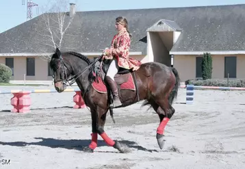 Marie Desodt est en résidence d’artiste au Haras national d’Aurillac depuis le début du mois d’avril et ce, pour deux ans.