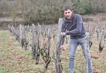 Sébastien Lavaurs dans les vignes de Montmurat qu’il élève patiemment, en attendant une première vendange en 2020 et le cru 2021. 