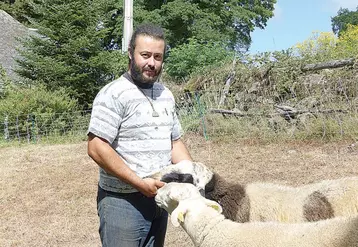 Dimanche 7 août, Loïc Défossez participera au spécial limousin en race ovine. Il y présentera un bélier ainsi que trois brebis adultes pour montrer les produits de son élevage.
