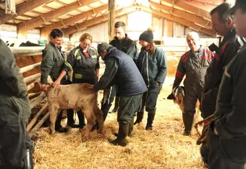 L’objectif de l’intervenant : rendre les éleveurs autonomes avec la santé de leurs animaux.