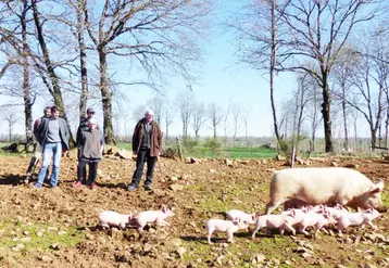 Le 27 mars, la section porcine de la FDSEA du Cantal a voulu mettre en avant les perspectives qu’offre la filière en prenant pour support le Gaec des Menhirs d’Albos.