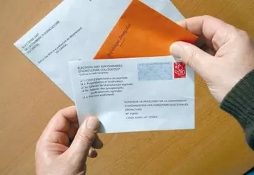 Les électeurs pourront voter par correspondance jusqu’au 31 janvier.