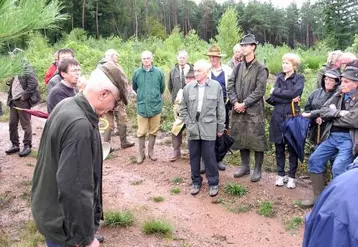 Visite en forêt pour illustrer le thème des incidences des évolutions climatiques.