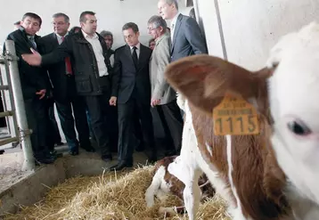 Le chef de l’État : “Je refuse que l’agriculture française soit emportée par la crise”.