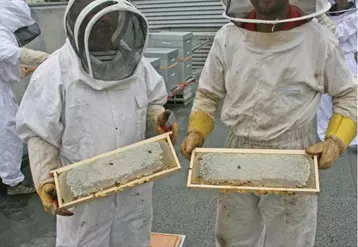 Le rucher de la Jordanne, une aventure avant tout humaine pour les salariés de la GMS.
