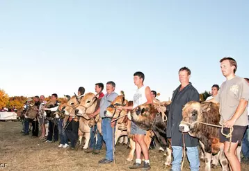 Les championnes à l’issue d'un concours qui a réuni la famille aubrac et de nombreux visiteurs.