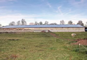 Grâce aux 560 panneaux (2 000 m2 de surface) installés sur le toit de la stabulation, la famille Astruc va vendre à EDF 156 kW d’ici quelques semaines.