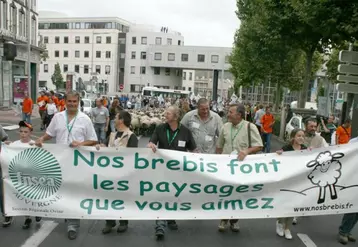 De la place du 1er-Mai, les manifestants ont rejoint la place Delille, avant de gagner la préfecture et la place de Jaude.