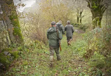 Le Cantal séduit par la diversité des espèces chassables et la présence de gros gibier.