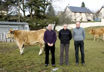 De gauche à droite : Michel et Christian Bos et J.M. Vidalenc devant les bœufs aubracs du restaurant Mallet.