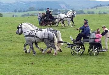 La présentation des calèches des Haras a rythmé cette journée consacrée à la race percheronne.