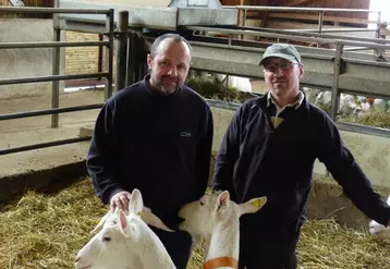 Benoît et Francis Blancher se sont associés en 2012 et ont construit un bâtiment à Brageac pouvant accueillir 120 chèvres. Sur douze hectares, les chèvres sont en ration sèche.