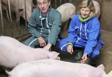 Les qualités de la race étaient rappelées par Jersiaise France lors d’une journée technique programmée dans le Cantal.