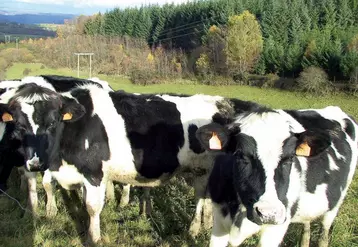 La méthode parfaitement au point et très complète s’avère de surcroît très fiable pour permettre la progression génétique.