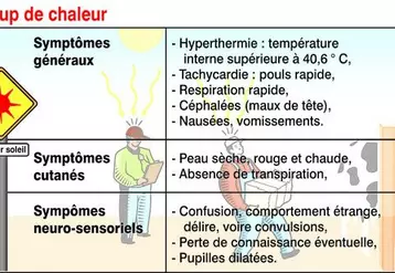 Le coup de chaleur peut être mortel. L’exposition prolongée aux forts rayons du soleil pendant l’été peut aussi provoquer d’autres accidents plus ou moins sérieux. Il faut donc connaître les risques et surveiller les symptômes.