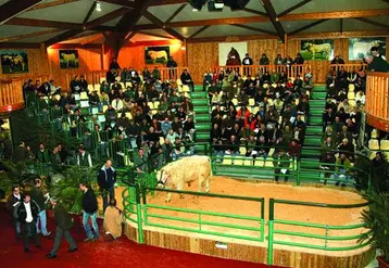 Les animaux non vendus restent jusqu'au mercredi 31 mars à la ferme du Marault.