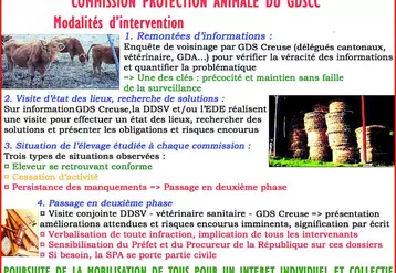 Les dossiers suivis par la commission se répartissent en 2 phases.