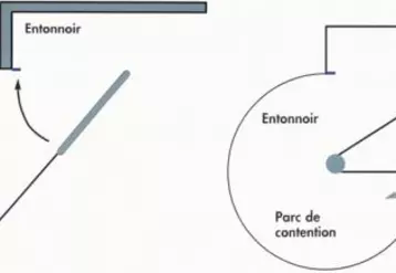 Les systèmes de contention sont variables selon les besoins spécifiques de chaque élevage. Cependant, certaines règles de base sont à respecter pour répondre aux besoins d’efficacité et de sécurité. Les techniciens de FARAGO Creuse (GDS Services 23) sont à votre disposition pour vous aider dans la mise en place de ces aménagements dont la qualité sera fonction de leur conception, réalisation et utilisation.