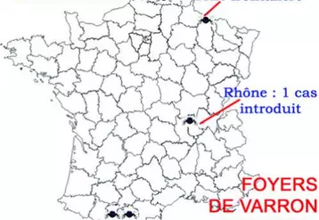 La Creuse, comme l'ensemble de la France continentale, présente, aujourd'hui, une situation assainie vis à vis du varron. 
Maintenir ce statut favorable demande d'être attentif par rapport 
aux deux risques essentiels de réintroduction que sont l'extension du parasite 
à partir des pays voisins et l'introduction en zone assainie de bovins porteurs.