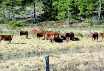 Agriculture et biodiversité font bon ménage sur le plateau de Millevaches. Le grand public pourra en avoir la preuve les 19 et 20 mai prochains.