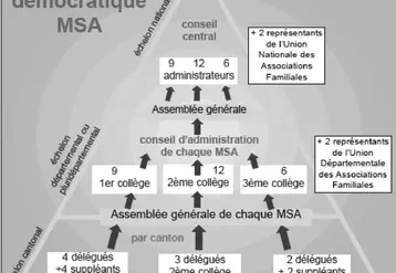 Le système démocratique MSA.