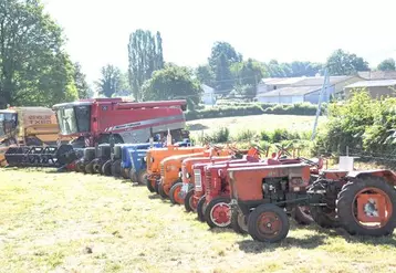 Le comice agricole a rassemblé de nombreux éleveurs du canton avec une bonne trentaine d'ovins, une vingtaine de bovins ainsi qu'une dizaine de chevaux.