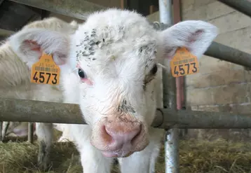 Les agriculteurs qui souhaitent bénéficier d’un régime de subrogation ou qui souhaitent émarger à un programme éligible à la réserve nationale devront retirer un formulaire adéquat auprès de la DDT.