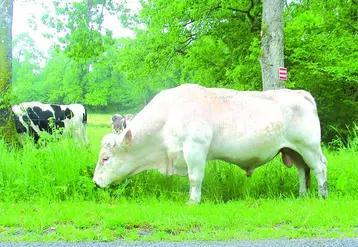 Les sénateurs ont approuvé le développement de la contractualisation entre agriculteurs et industriels, retenant l'obligation de contrats écrits de vente qui mentionnent des prix et des volumes de livraisons.