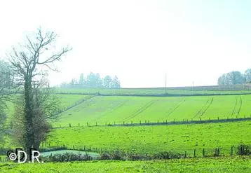 Le préfet de région, les parlementaires et élus régionaux ont donc visité mardi l'EARL Adam à Flavignac, en Haute-Vienne.