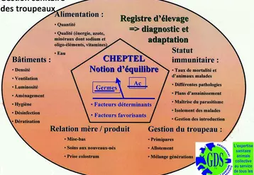 L’état sanitaire d’un troupeau repose sur l’équilibre entre les capacités de défense des animaux et la pression microbienne. Un problème sanitaire dans un élevage est la conséquence d’un déséquilibre.