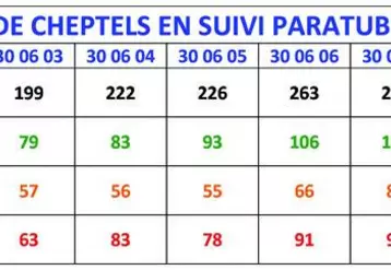 GDS Creuse dresse un bilan de campagne « paratuberculose » 2008/2009 contrasté avec un renforcement
de la prévention qui se confirme mais avec des alertes dans les cheptels infectés ou en plan d’assainissement.