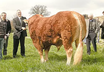 Hugues Moutouh, préfet de la Creuse avec Cardinal, à l’élevage Gaec Lebourg, 1er prix des mâles à fort développement musculaire, au salon international de l’agriculture.