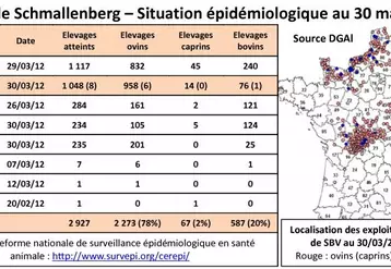 Le virus de Schmallenberg a connu une large diffusion géographique avec une forte prévalence dans les zones concernées comme le montre l'enquête sérologique néerlandaise. Une inflexion à la baisse du nombre de cas détectés semble actuellement se dessiner en France.