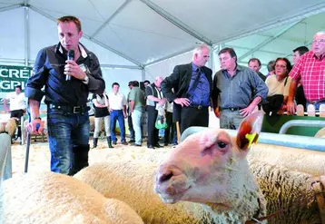 Pas moins de 110 animaux ont participé au Spécial de la race ovine Charollaise.