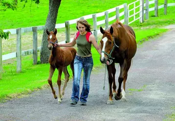 Les éleveurs de chevaux veulent que la filière cheval intègre, comme les autres filières, le fonds de mutualisation en cas de maladies animales ainsi que les dispositifs d’assurance récolte prévus par le règlement PAC issu du bilan de santé.