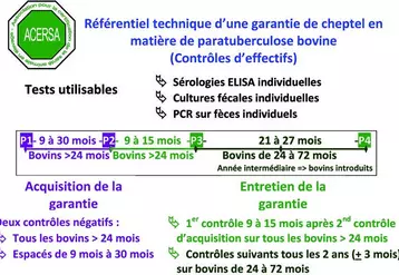 Sachant que tout cheptel adhérent au HBL est soumis à un dépistage de la paratuberculose, cela implique que lors de toute introduction de bovin limousin inscrit, une demande du statut du cheptel d’origine sera effectuée. Dans notre département, situation favorable, près de 80 % des cheptels adhérents au HBL apportent cette garantie mais cela implique aussi que 20 % des cheptels ne l’apportent pas !