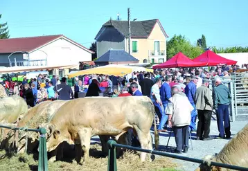 Le nombre d'animaux présents était tout aussi important que celui des années précédentes.