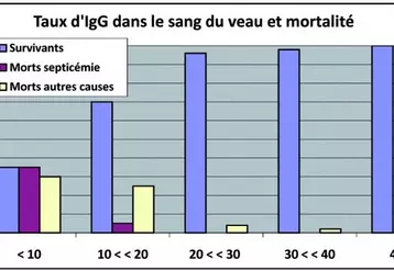 Il existe une relation directe entre les taux de mortalité et de morbidité au sein d’un élevage et la concentration d’anticorps du veau à 24/48 heures. La concentration minimale nécessaire se situe de 15 à 20 g/l de sérum. Les veaux privés totalement de colostrum présentent une mortalité voisine de 90%.