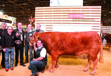 Usebi au Gaec Aucomte (87), 984 kgs, a été acheté par le restaurant Hall West à Limoges pour 8 600 euros.