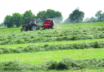 L'autonomie fourragère est essentielle en élevage allaitant.