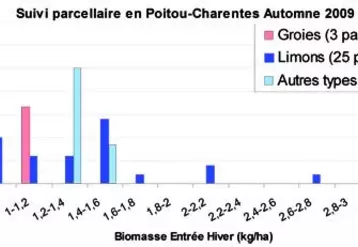 Il est impératif de peser le colza pour apporter la dose optimale d'engrais azoté à la parcelle afin d'optimiser techniquement et économiquement cette étape de la culture.