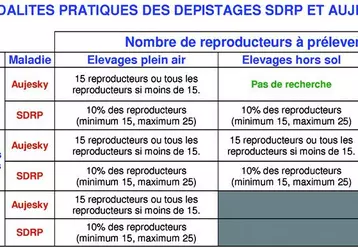 Le dépistage Aujesky reste maintenu dans les élevages plein-air, de sangliers et chez les sélectionneurs multiplicateurs alors qu’il est supprimé dans les autres élevages hors sol. Par contre, pour des raisons autant sanitaires que commerciales, le dépistage SDRP se poursuit dans tous les élevages naisseurs ou naisseurs engraisseurs.