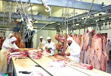 Les porcs de montagne sont découpés et transformés à Volvic avec Porcentre (photo) et à Aurillac avec Cantal Salaisons.