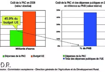 Coût de la PAC et des dépenses publiques (2008).