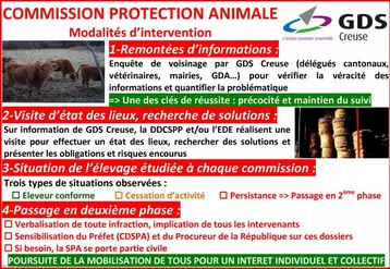 Ce début d’hiver, période qui s’annonce délicate pour les animaux dans les élevages en difficulté, nous donne l’occasion de rappeler les objectifs de cette commission et ainsi mobiliser chacun pour une meilleure prévention et un accompagnement renforcé des éleveurs pouvant être confrontés à cette problématique.