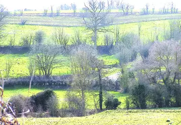 Les haies constituent un atout majeur dans le paysage : protection, écoulement, vie, énergie, paysage.