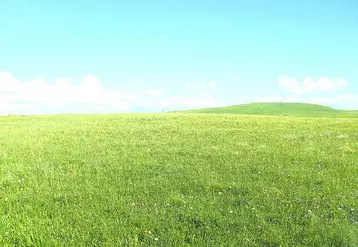 En 2008, les surfaces toujours en herbe représentaient près de 950 000 ha en Auvergne.