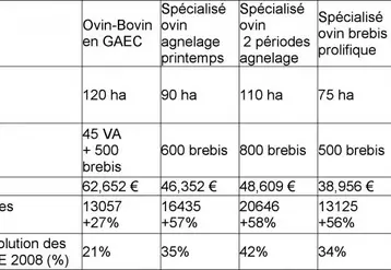 L'excédent brut d’exploitation des éleveurs ovin devrait s'améliorer de plus de 30 %.